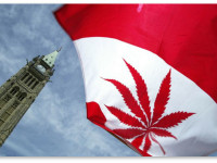 Канада: Крупнейший в стране центр лечения наркомании призвал к легализации марихуаны