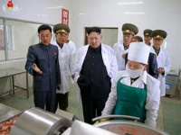 Северная Корея: Дан приказ выращивать коноплю на топливо для беспилотников