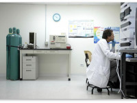 В Голландии планируют установить лимит на ТГК на уровне 15%