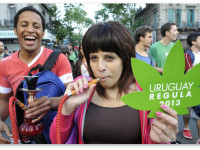 Уругвай: Рынок легальной конопли под угрозой