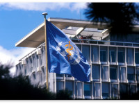 Всемирная Организация Здравоохранения призывает к декриминализации наркотиков