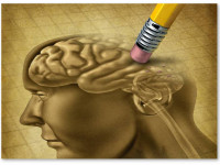 Вещество марихуаны может замедлять или останавливать развитие болезни Альцгеймера