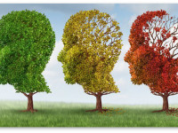 Ученые считают, что вещества марихуаны помогут в лечении болезни Альцгеймера