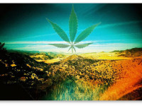 Аризона: Еще одно препятствие на пути легализации марихуаны в штате