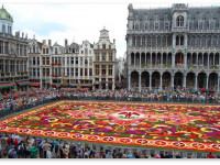 Бельгия: Политика терпимости к "легким наркотикам" окончена