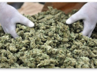 Болгария: Демонстрация за декриминализацию марихуаны пройдет в эти выходные