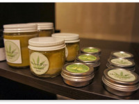 Аналог веществ конопли как лекарство от рака кожи