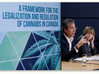 Канада: Стали известны подробности будущего закона о легализации марихуаны