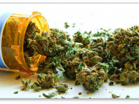 Канада: Правительство компенсирует ветеранам расходы на медицинскую марихуану