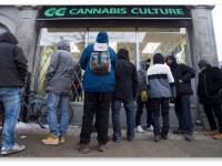 Монреаль, Канада: Полиция закрыла конопляные магазины через день после открытия