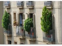 Как я вырубал легальной травы в Испании