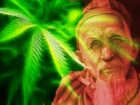 Может ли марихуана помочь в лечении болезни Альцгеймера?