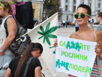 Украина: Легалайз – дело тонкое