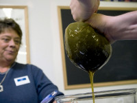 Проверено временем: Возвращаемся к настойкам