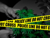 Парагвайские копы крышевали рынок конопли