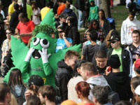 Активист: конопляного марша в Москве не ждите