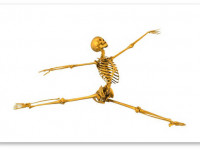 Исследование: Прием вещества конопли улучшает заживление костей