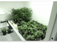 pH - что это такое? pH - что это такое?