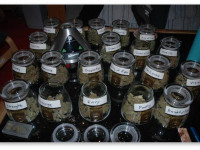 Коротко о правильной пролечке