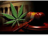 Инициатива легализации медицинской марихуаны во Флориде под угрозой Инициатива легализации медицинской марихуаны во Флориде под угрозой