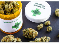 "А ты докажи!" DEA в очередной раз отказываются признать марихуану лекарством