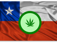 Чили накануне декриминализации конопли
