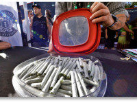 Налоги с продаж марихуаны за январь превысили $3,5 млн