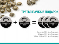 А пачка плюс пачка равняется три!