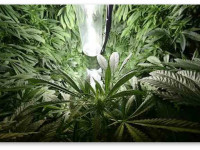 Безопасная электропроводка для гроубокса