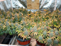 Боковой досвет: Есть ли в нем смысл?