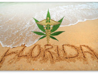 Флорида, США: Судьба медицинской марихуаны под большим вопросом