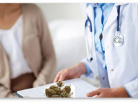 Флорида: Нет врачей, готовых выписывать медицинскую марихуану