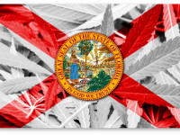 Флорида: Противники медицинской марихуаны облажались по-крупному