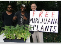 Большинство жителей штата Нью-Йорк хотят легализации