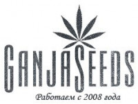 GanjaSeeds – элитные семена конопли