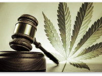 Жители Колорадо требуют отмены легализации в штате и другие заголовки