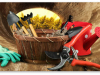 Где только люди не растят! 10 самых необычных подпольных оранжерей