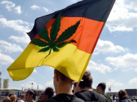 Германия интегрируется в мировой рынок конопли