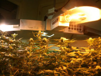 Как часто нужно менять лампы?