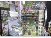 Нидерланды: Акт о Гроушопах вступит в силу с 1 марта