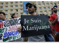 Грузия: Почему провалилась идея декриминализации марихуаны Грузия: Почему провалилась идея декриминализации марихуаны