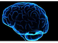 Чем умнее человек, тем больше вероятность, что он попробует незаконные вещества