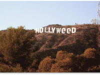 Попытка легализовать марихуану в Калифорнии. Дубль третий