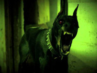 10 ужастиков для просмотра под дудкой