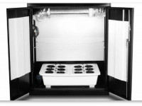 Большой урожай в маленьком боксе. 10 практических советов