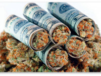 Marijuana Business Daily: к 2020 году в США сформируется крупная индустрия производства марихуаны