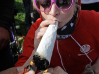 Наука: Физика и химия косяка