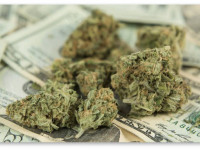 Нью-Йорк: Конопляная индустрия привлекает крупных инвесторов