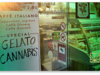 Италия: Постепенно ломаются барьеры запрета на коноплю