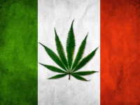 Италия: Станет ли она следующим форпостом легализации конопли? Италия: Станет ли она следующим форпостом легализации конопли?